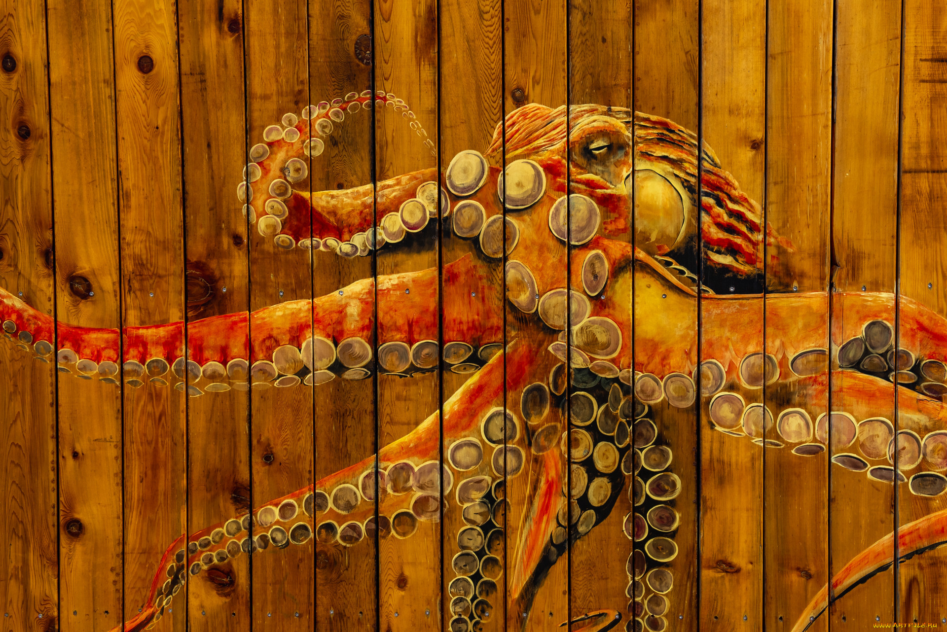 ������, ��������, ��������